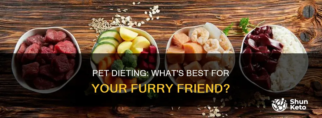 what kind of diet do you put your pet on