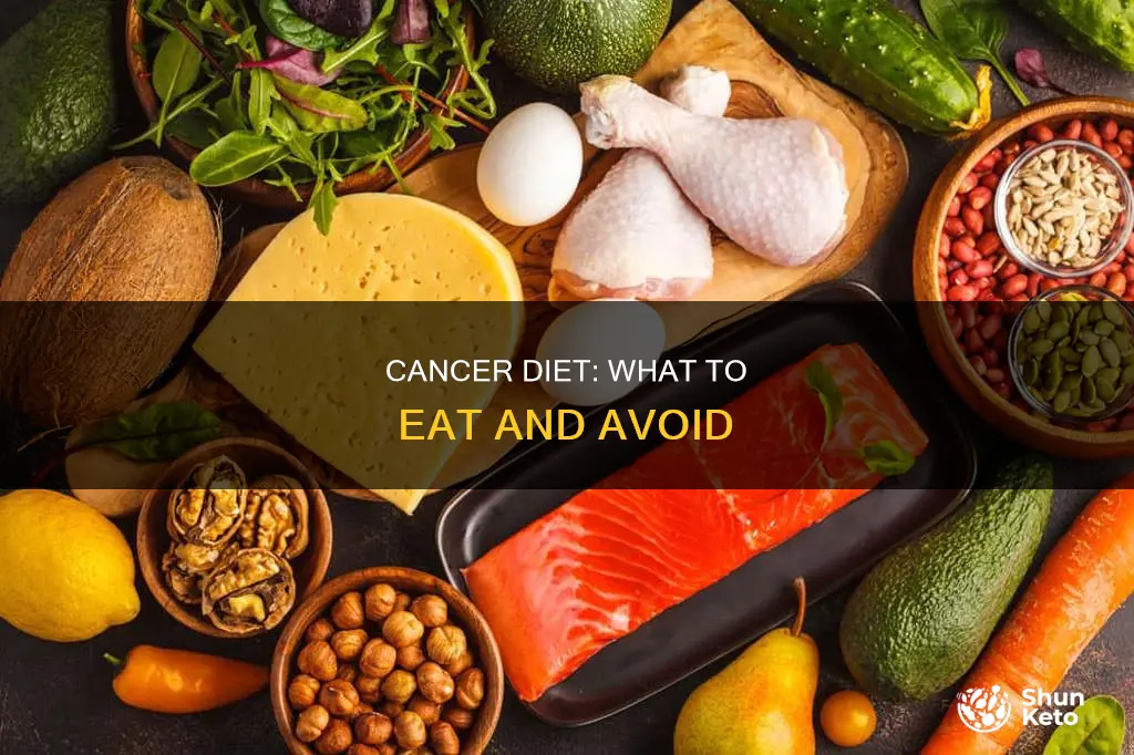 what kind of diet does a cancer pt need