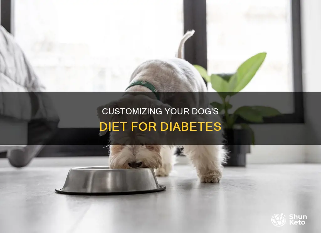 what kind of diet does a diabetic dog need