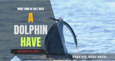 Dolphin Diet: Understanding Their Unique Eating Habits