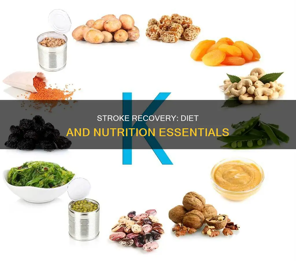 what kind of diet does a stroke patient need