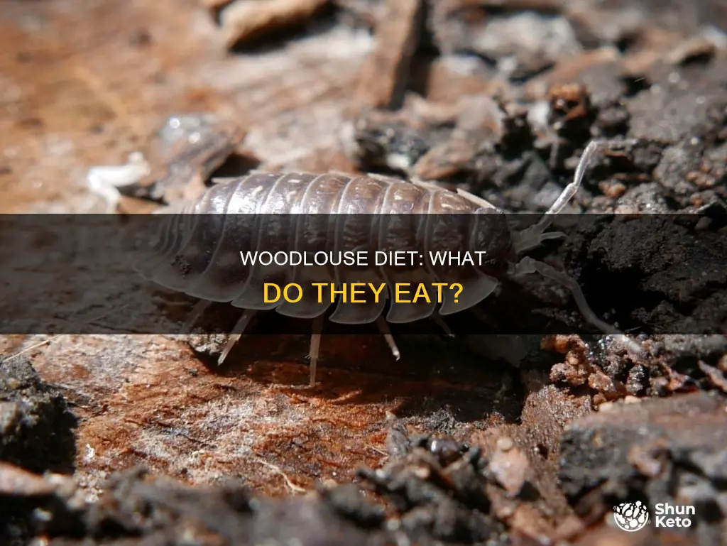 what kind of diet does a woodlouse have