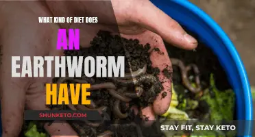 Earthworms' Diet: Nature's Simple, Sustainable Food Plan