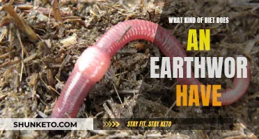 Earthworm Eating Habits: What's on the Menu?