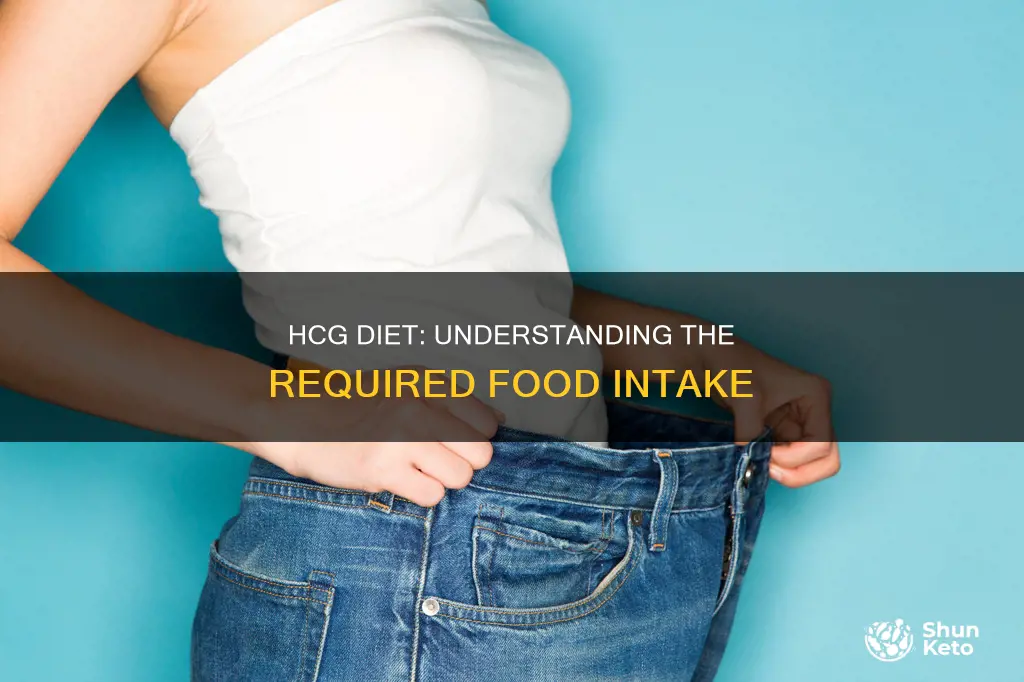 what kind of diet does hcg diet require