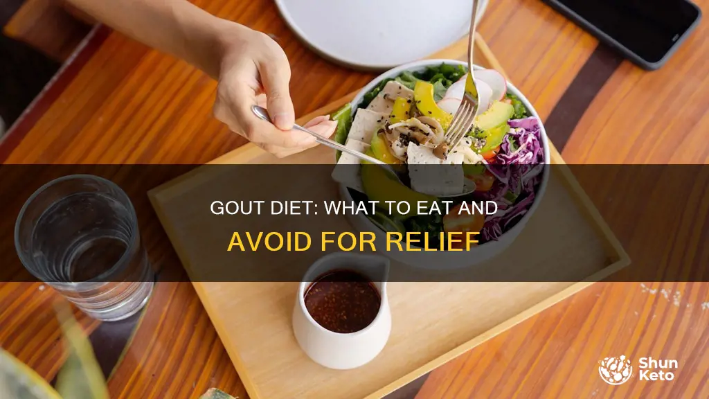 what kind of diet does someone with gout have