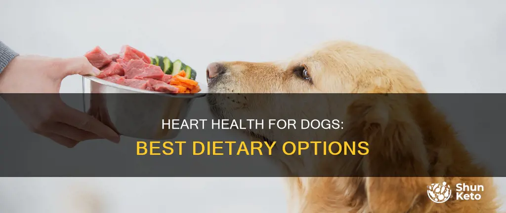 what kind of diet for a dogwith enlarged heart
