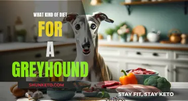 Nutrition for Greyhounds: Unlocking Peak Performance and Health