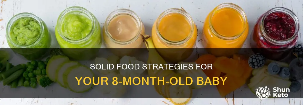what kind of diet for an 8 month old