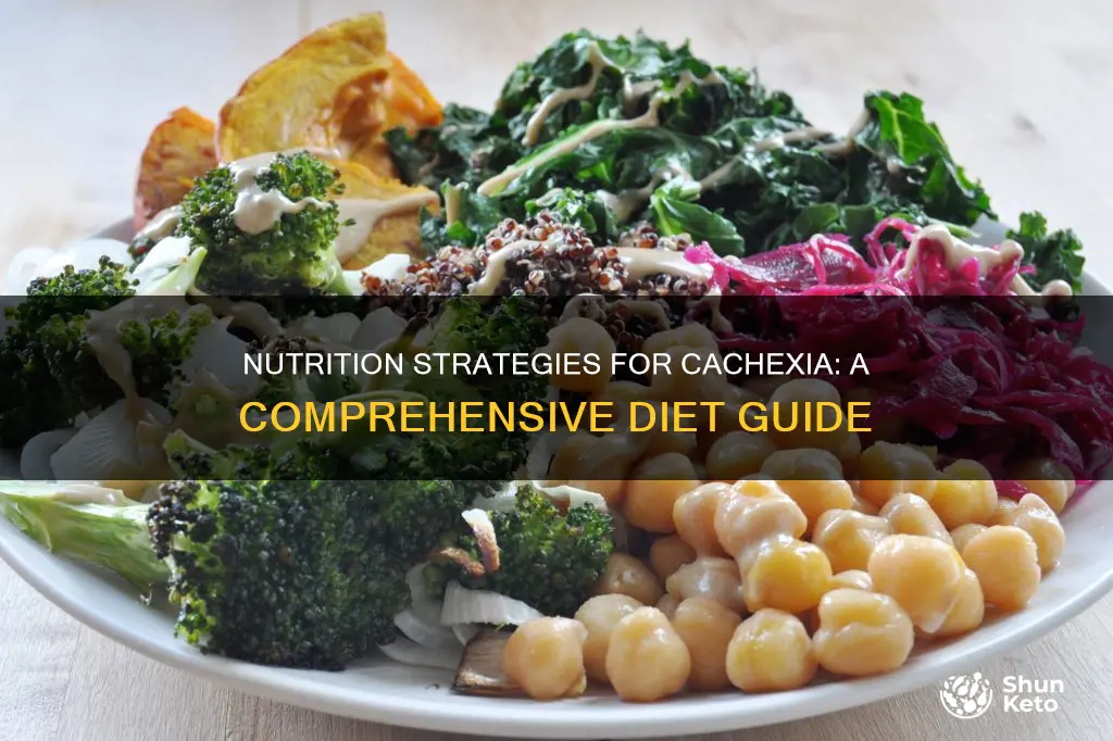 what kind of diet for cachexia