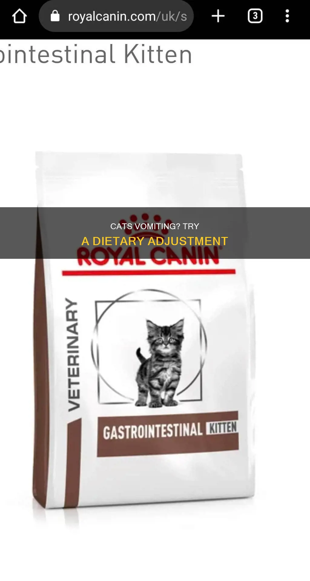 what kind of diet for cats who throw up