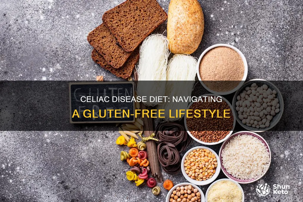 what kind of diet for celiac disease