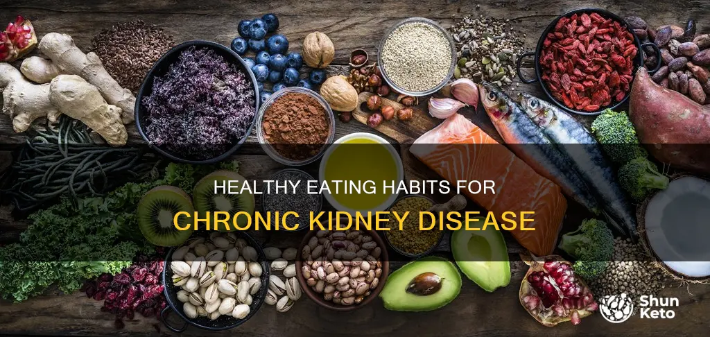 what kind of diet for chronic kidney disease
