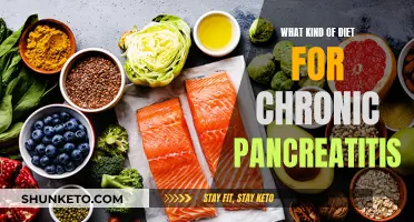 Nourishing Your Pancreas: Dietary Choices for Chronic Pancreatitis Relief