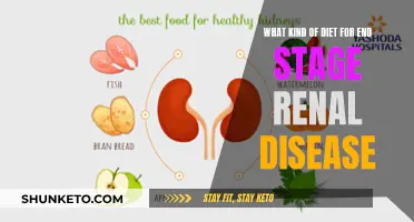 Nourishing Hope: Dietary Choices for End-Stage Renal Disease