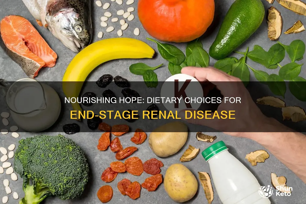 what kind of diet for end stage renal disease