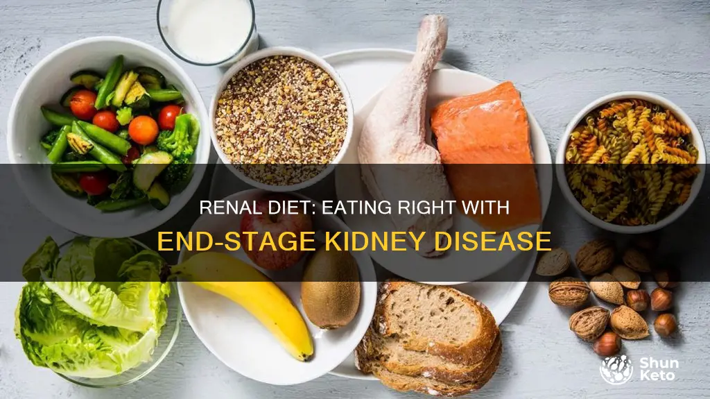 what kind of diet for end stage renal disease