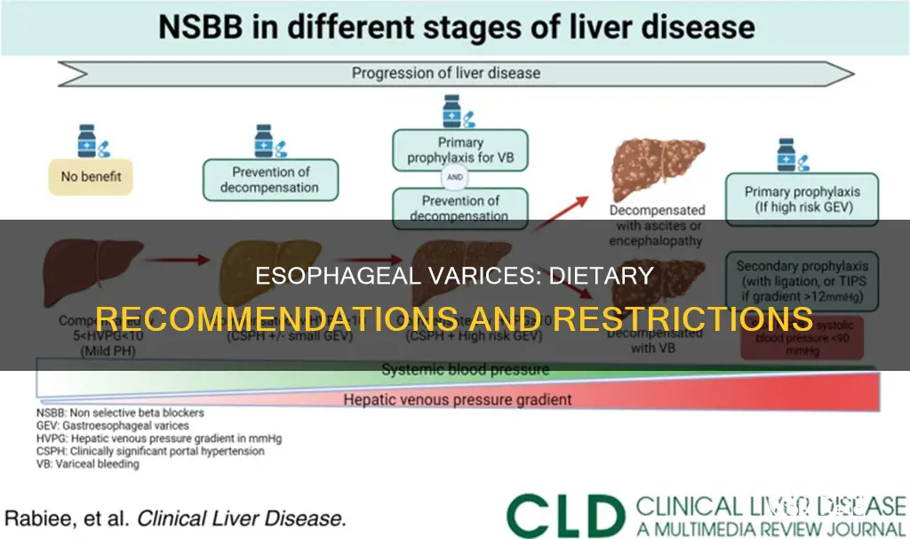 what kind of diet for esophageal varices