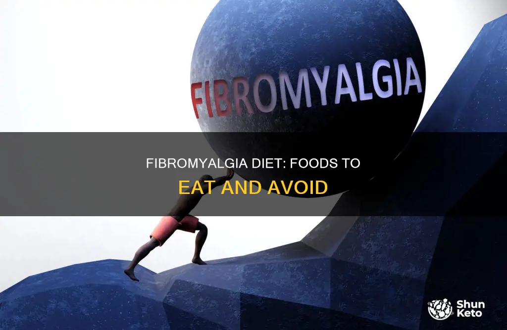 what kind of diet for fibromyalgia