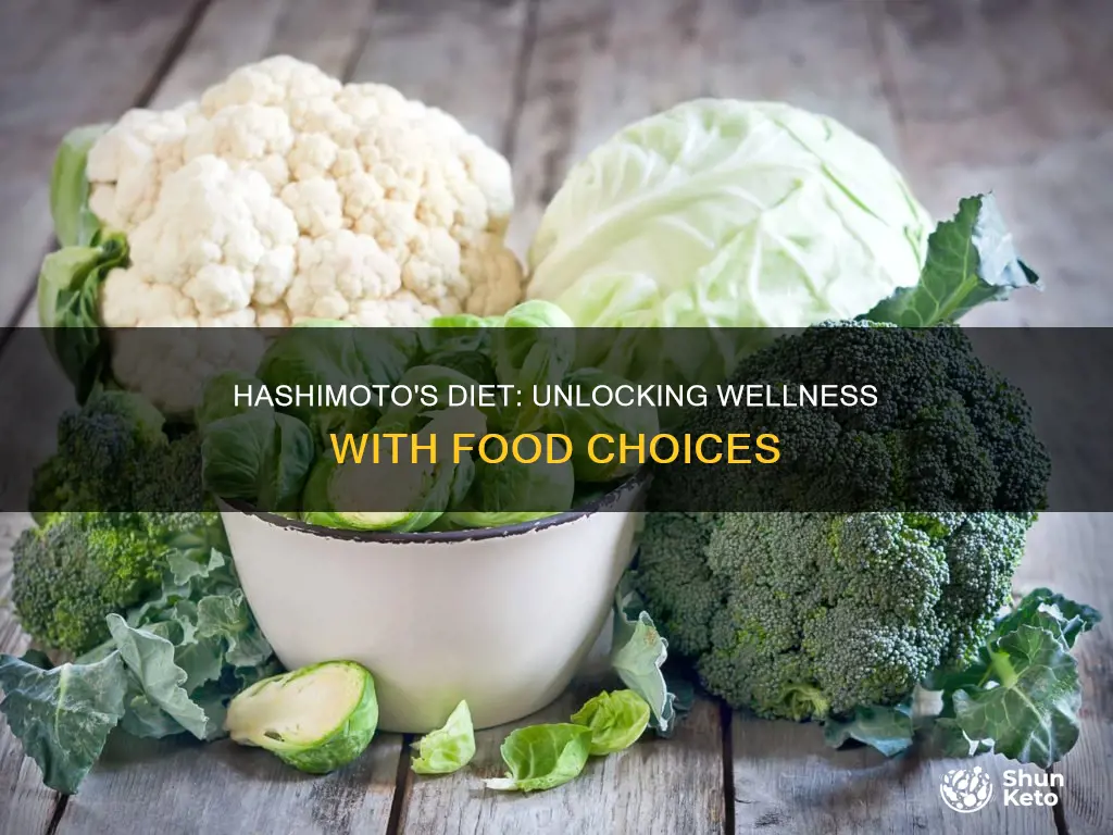 what kind of diet for hashimoto disease