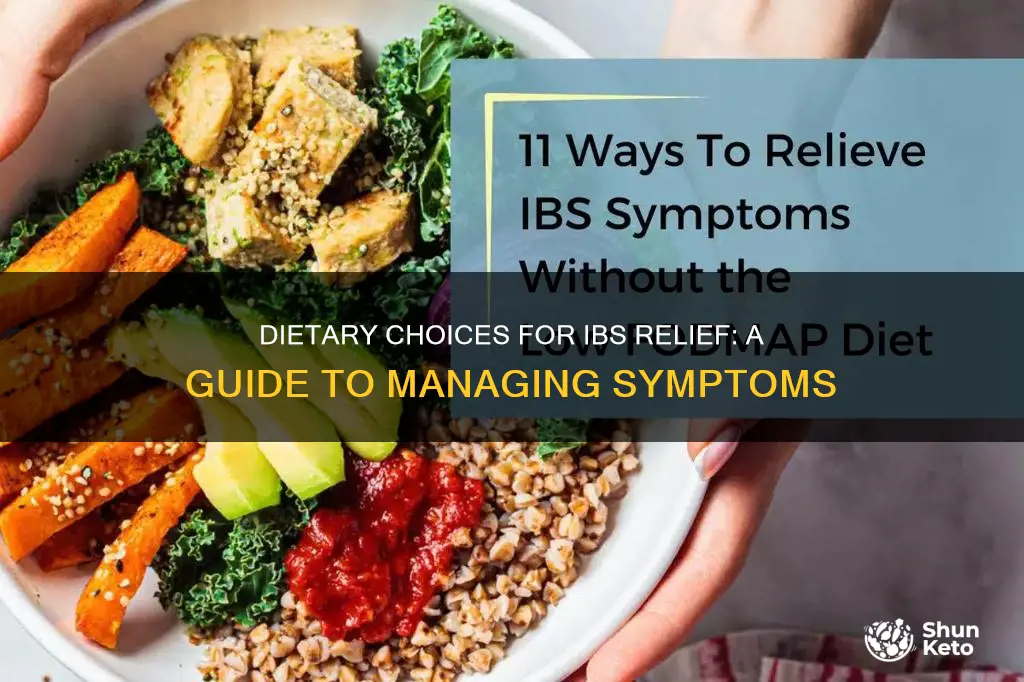 what kind of diet for ibs