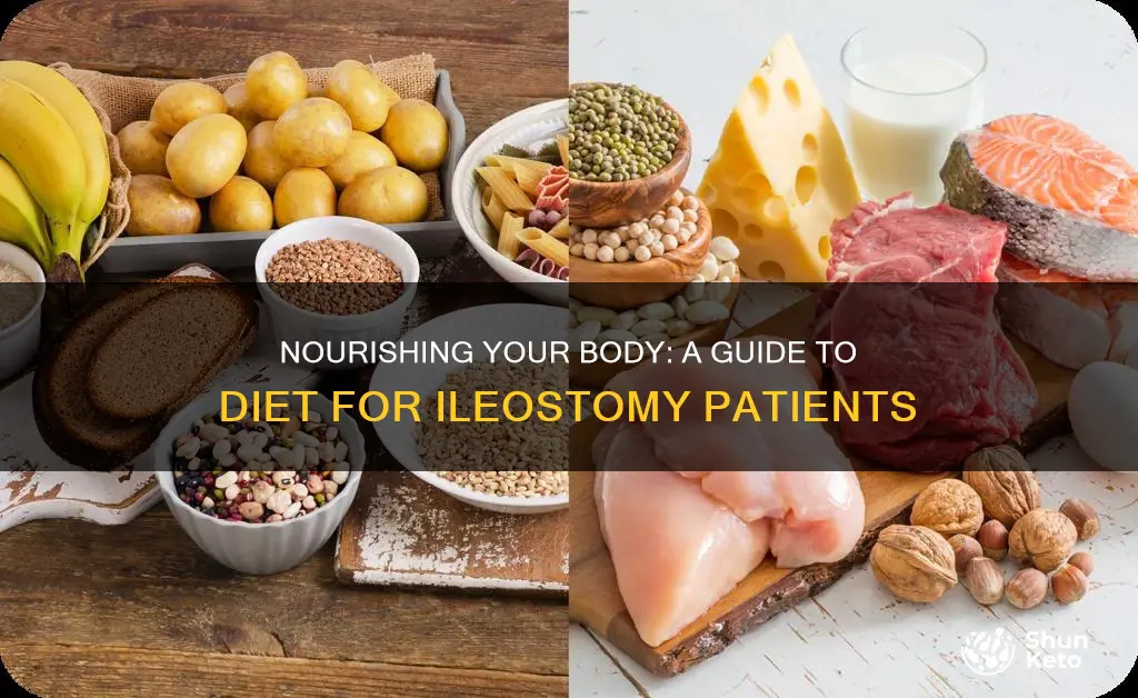 what kind of diet for ileostomy