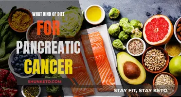 Nutrition Strategies for Pancreatic Cancer Patients: A Healthy Diet Plan