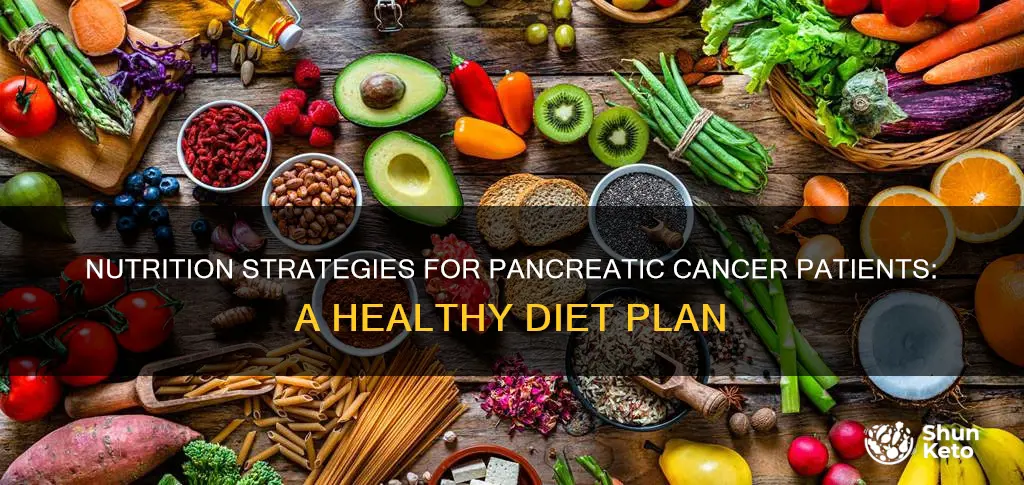 what kind of diet for pancreatic cancer