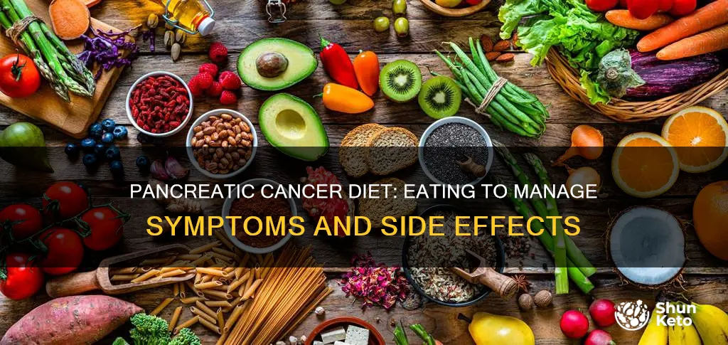 what kind of diet for pancreatic cancer