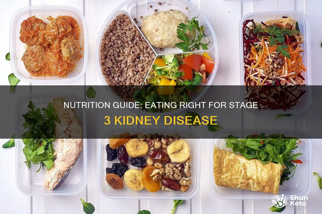 what kind of diet for stage 3 kidney disease