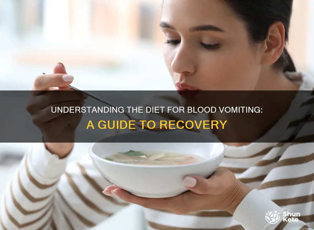 what kind of diet for vomiting blood