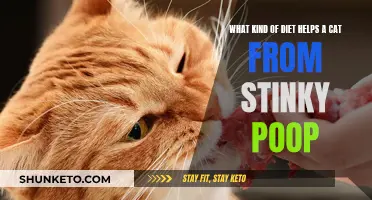 Cat Poop Problems? Try a Diet Change