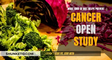 Cancer Prevention: Diet and Study Insights