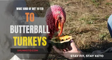 Feeding Butterball Turkeys: A Healthy Diet Revealed