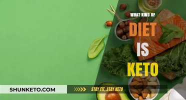 Understanding the Keto Diet: A Low-Carb, High-Fat Eating Plan Explained