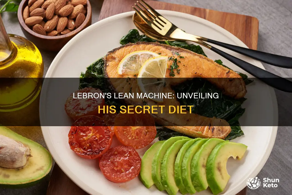 what kind of diet is lebron james on