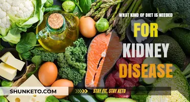 Kidney Disease: Diet and Nutrition Essentials