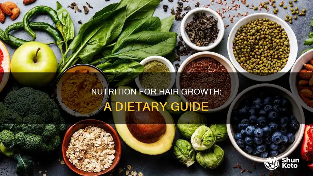 what kind of diet is needed to help hair growth