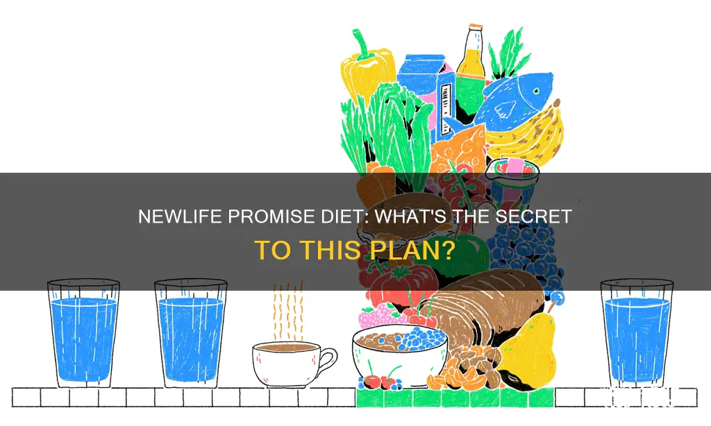 what kind of diet is newlife promise