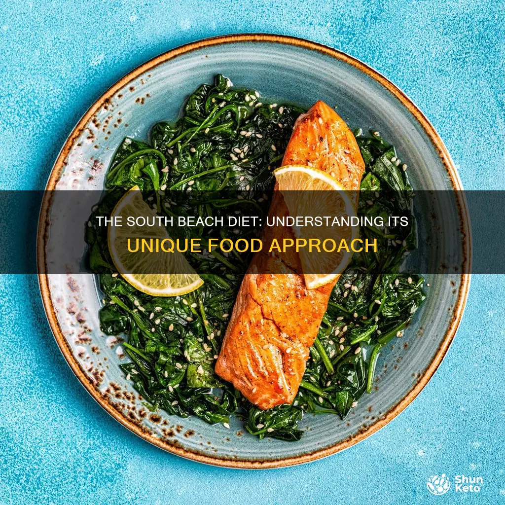 what kind of diet is the south beach diet