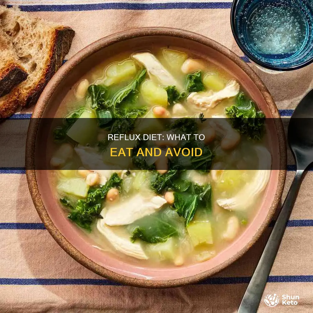 what kind of diet is used for reflux