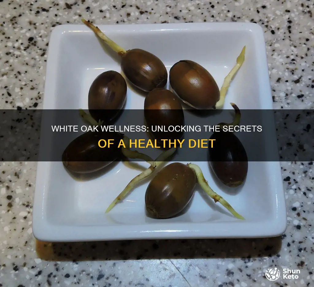 what kind of diet is white oak wellness