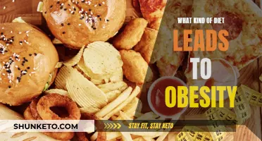 Dietary Habits Leading to Obesity: A Comprehensive Guide