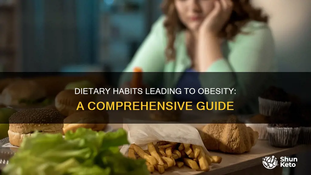 what kind of diet leads to obesity