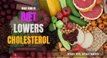 Cholesterol-Lowering Diets: Effective Strategies for Healthy Living