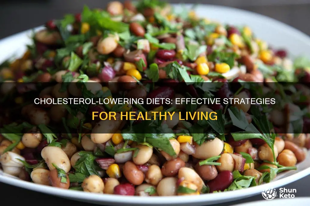 what kind of diet lowers cholesterol
