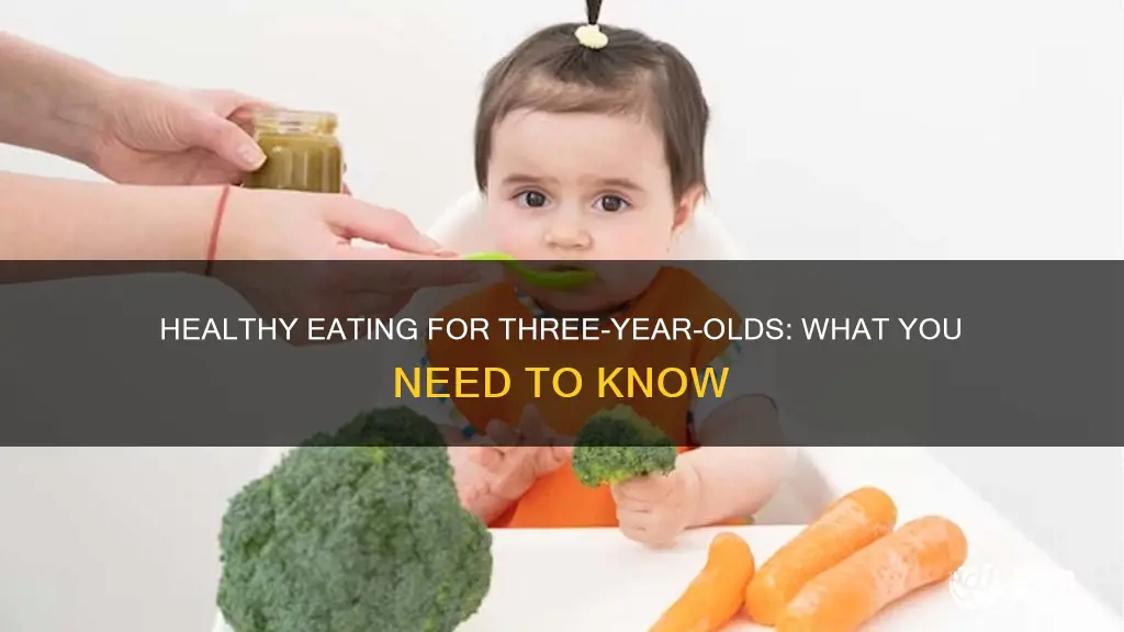 what kind of diet should 3 year old have