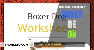 Boxer's Diet: Fueling Performance with Optimal Nutrition