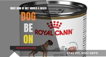 Boxer Dogs' Diet: What You Need to Know