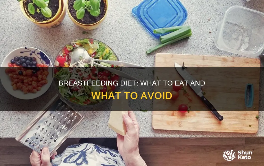what kind of diet should i be on while breastfeeding